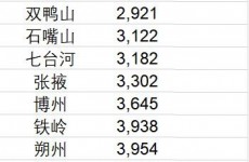 十大房价最低城市一半在东北 鹤岗真的是白菜价