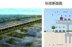 胶州临空经济区快速路工程拟建设